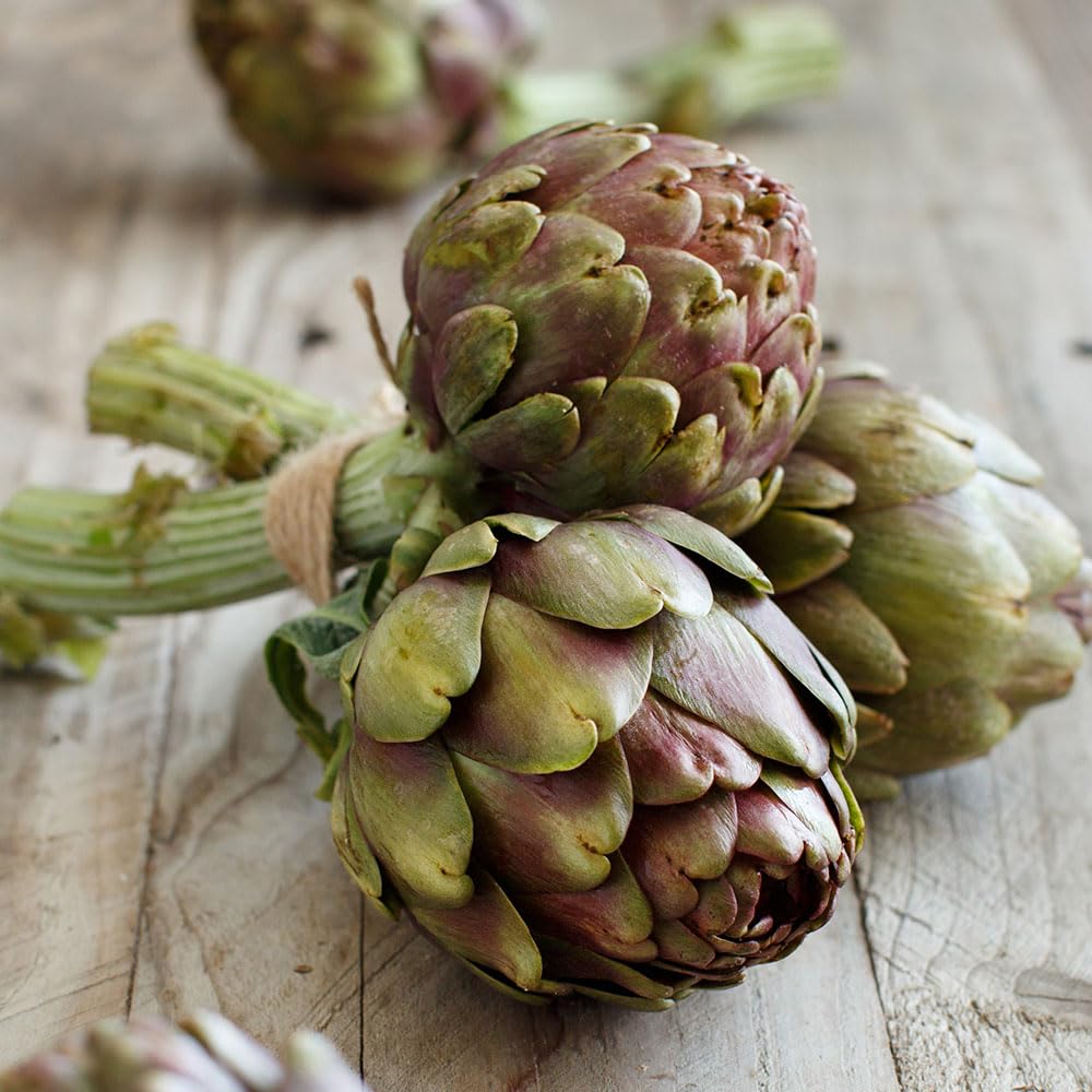 Artichoke Seeds – Carciofo Violetto Precoce – Premium Italian Heirloom Variety – Medium-Sized Purple Globes, Thornless & Early – Ideal for UK Gardens