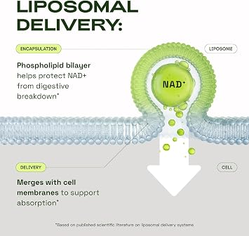 Cata-Kor NMN Supplement Alternative Liposomal NAD+ Supplement - NAD CORE 30-Day Supply 60 Capsules