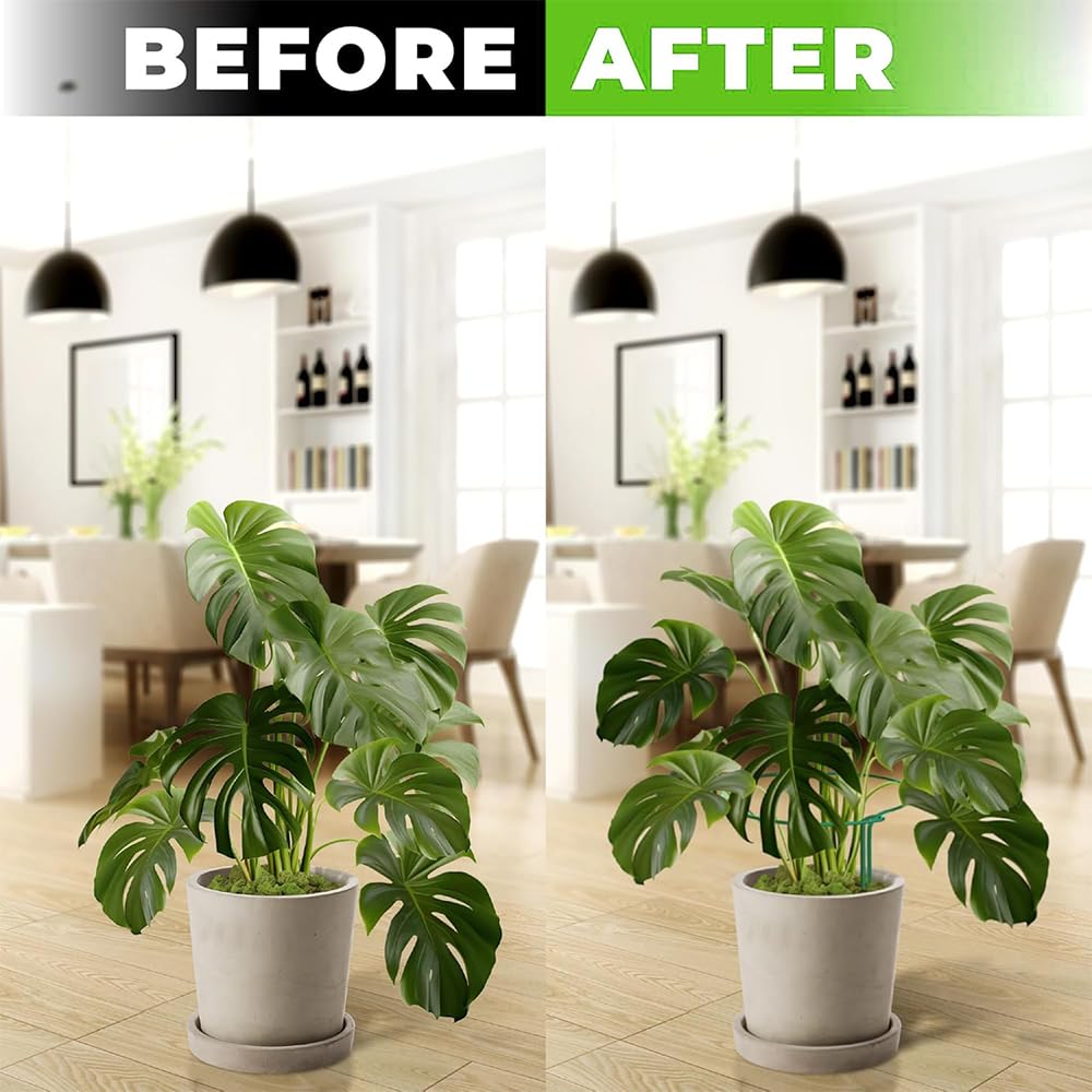 12 Pièces Grands Tuteurs Semi-Circulaires 25x60cm - Support Pour Plantes, Pivoine, Intérieur - Anneau De Soutien Pour Hortensias, Pivoines, Vivaces, Légumes