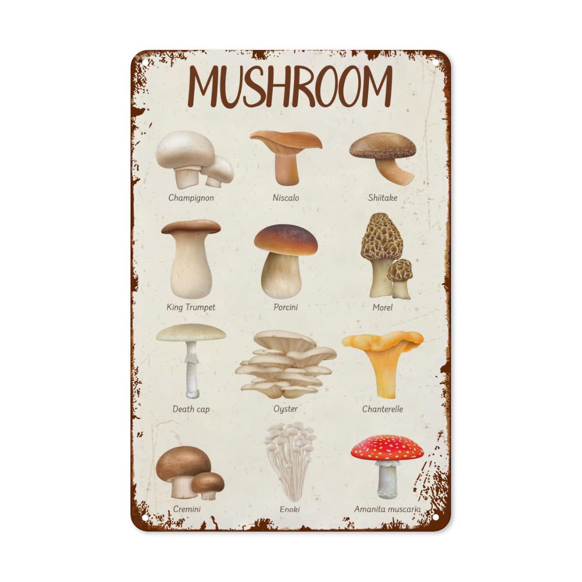Kwqdozf As Pic Vintage Metal Tin Sign Mushroom Wall Art For Home Kitchen, 8X12 Inch
