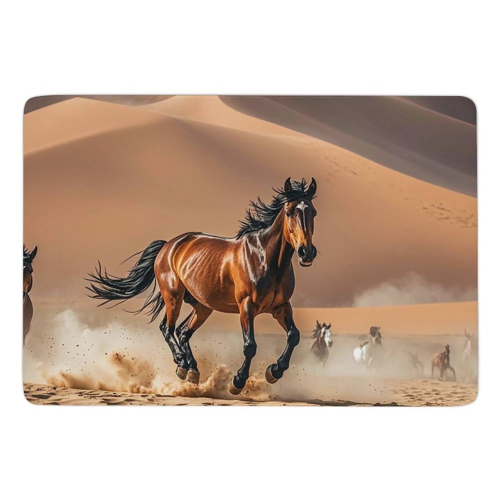 Tapis de salle de bain lavable anti-glisse pour sol humide et jeux