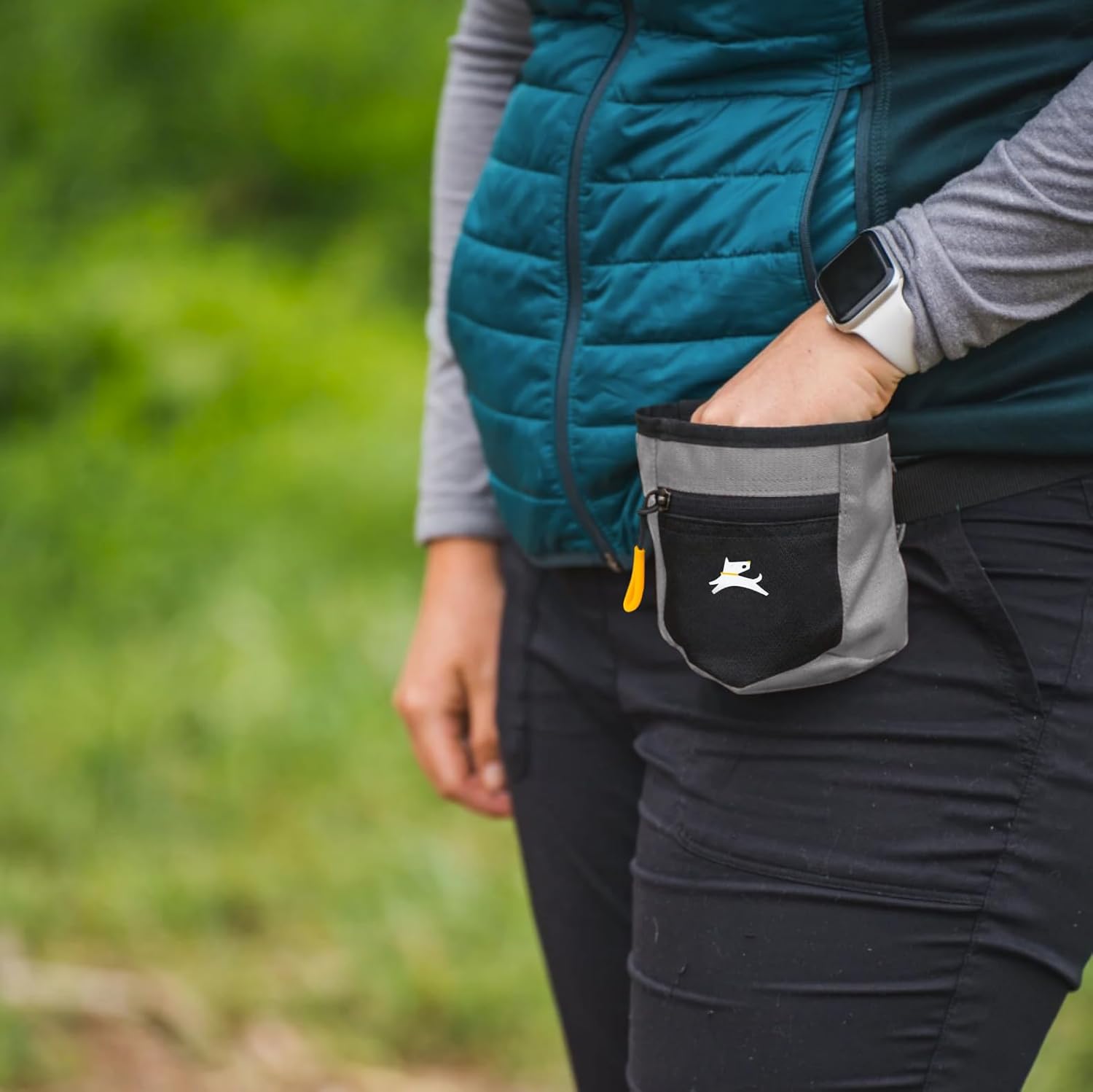 OllyDog Goodie Treat Bag, Dog Treat Pouch, Waist...