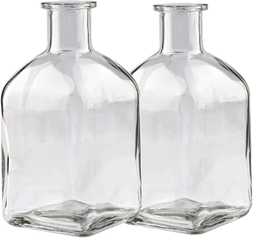 Coastal Minimalist Small Clear Decor Glass Vases,Transparent Clear Set of 2 | Modern & Simple Glass Modern Home Suit for Dining Table,Bookshelf,Entryway Decoration