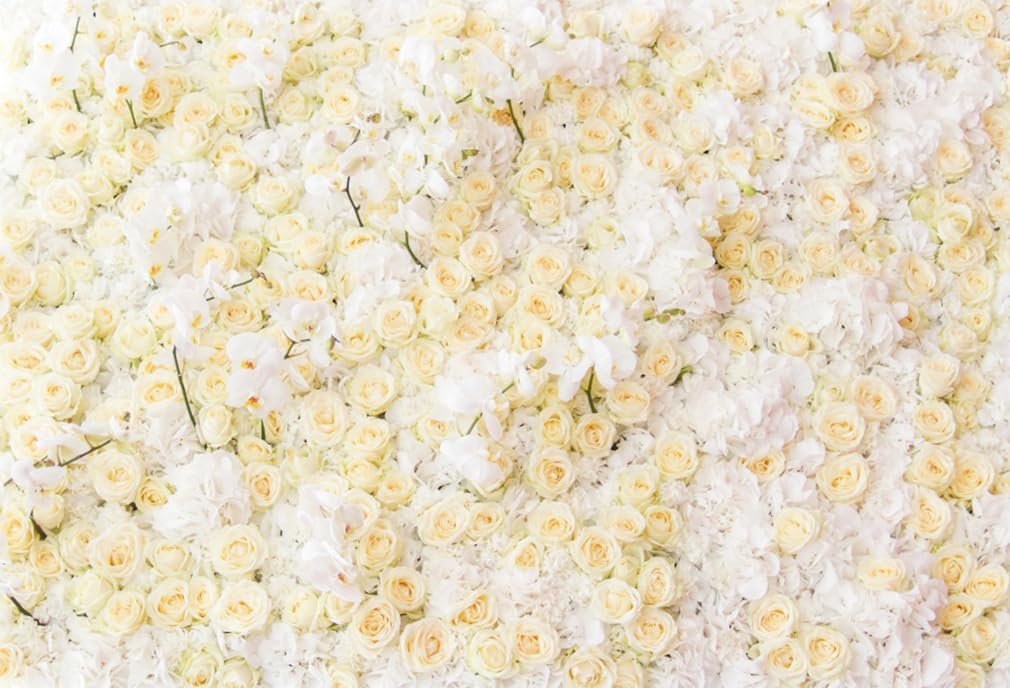 AOFOTO8x6ft White Yellow Rose Flower Backdrop Wedding Bridal Shower Mother's Day Theme Romantic Floral Wall Photography Background Girls Women Pregnancy Photos Baby Shower Birthday Party Decoration