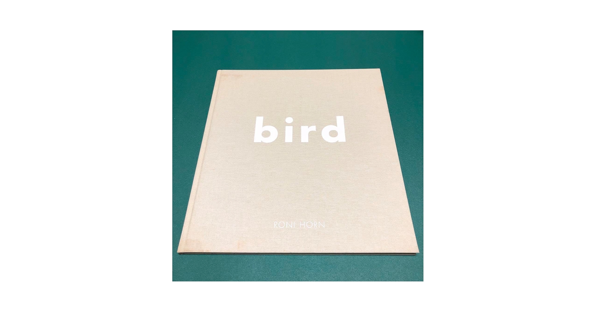 bird by RONI HORN ロニ・ホーン作品集 bird - ロニ・ホーン | shashasha 写々者 - 写真集とアートブック