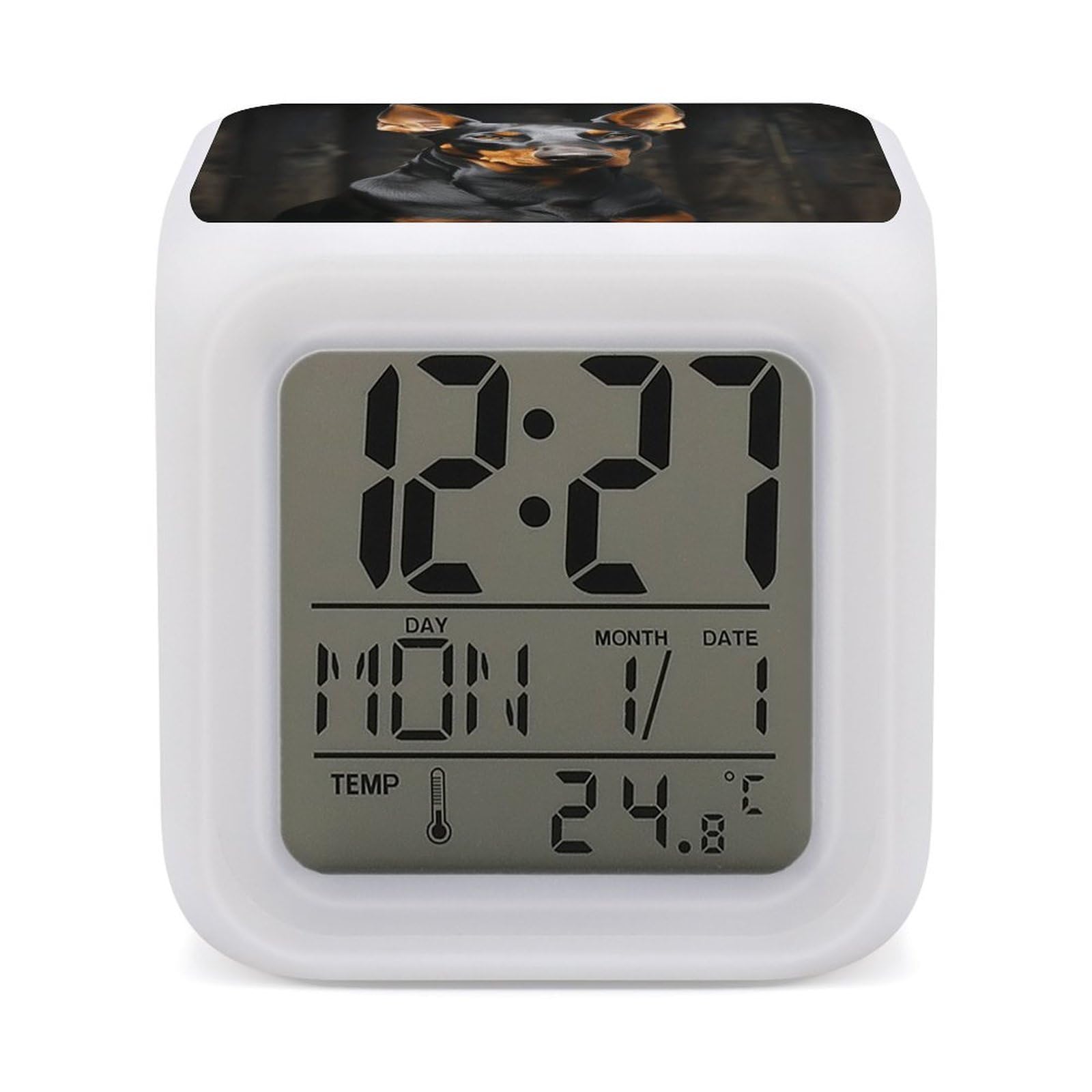 VstaDank Doberman Alarm Clock for Bedrooms Small Clocks with 7 Color Night Light Desk Clock with Large Numbers Loud Wake Up Timer Ideal for Gift & Room Decor