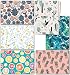 48 Blank Cards with Envelopes Bulk - Assorted Fruit All Occasion Greeting Cards - Includes Blank Note Cards, Envelopes, Stickers & Box - Perfect for Thank You Notecards, Birthday, Kids Stationary Set