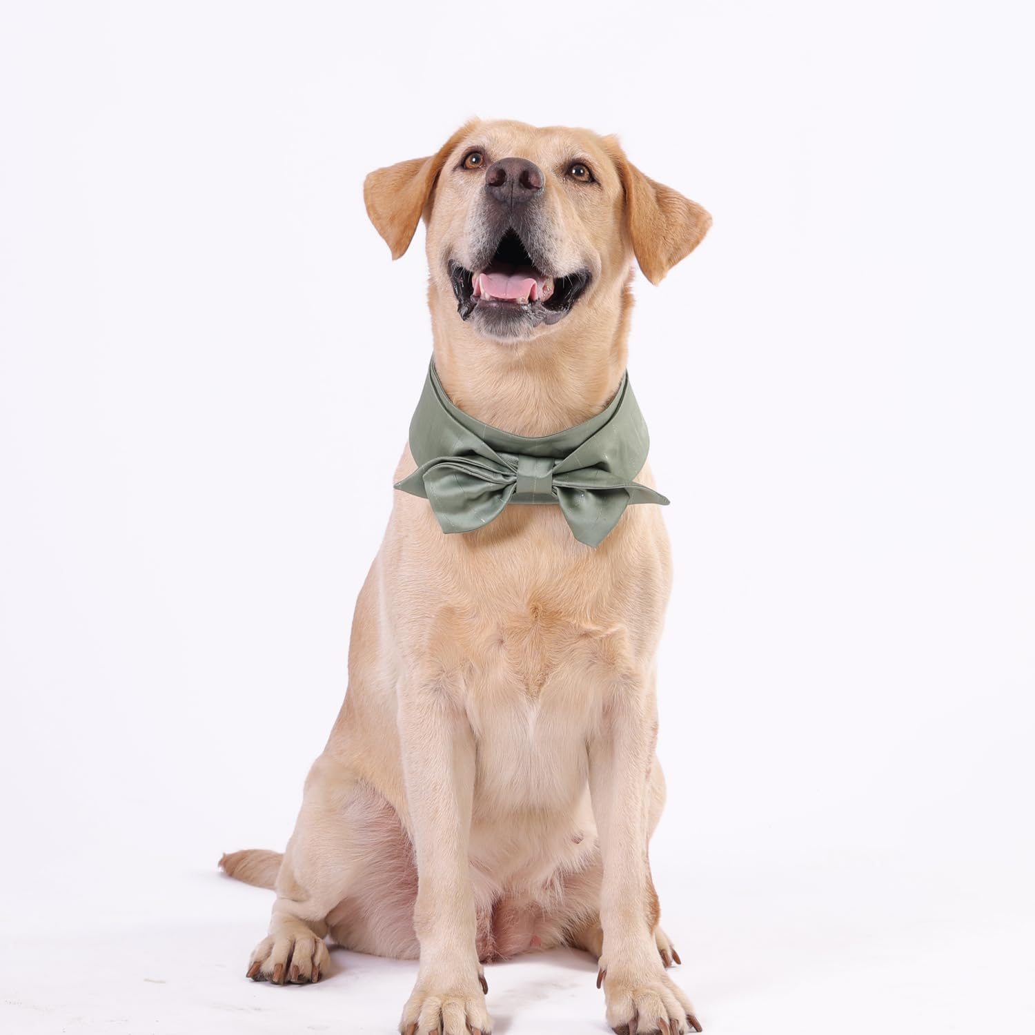 Lovelyshop Pet Bow Tie Collar, Sage Green Satin, Formal Dog Cat Accessory-Xlarge