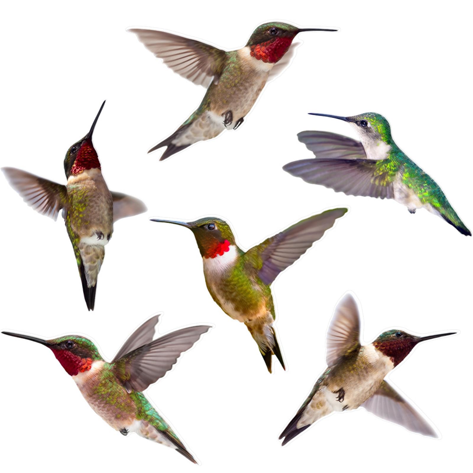Lerpwige Bird Accidents With Easily Apply Window Decals And Beauty AntiCollision Cling For Glass Protectors Transformative Window