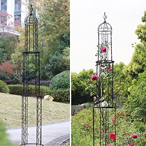 Blanketswarm Torre Obelisco Da Giardino – Traliccio In Metallo Per Piante Rampicanti – 4 Altezze Regolabili - 6