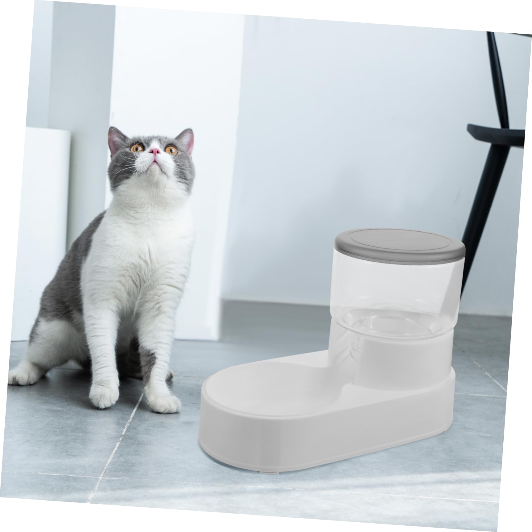 Automatischer Futterautomat für Katzen und Hunde, Weiß, Kunststoff