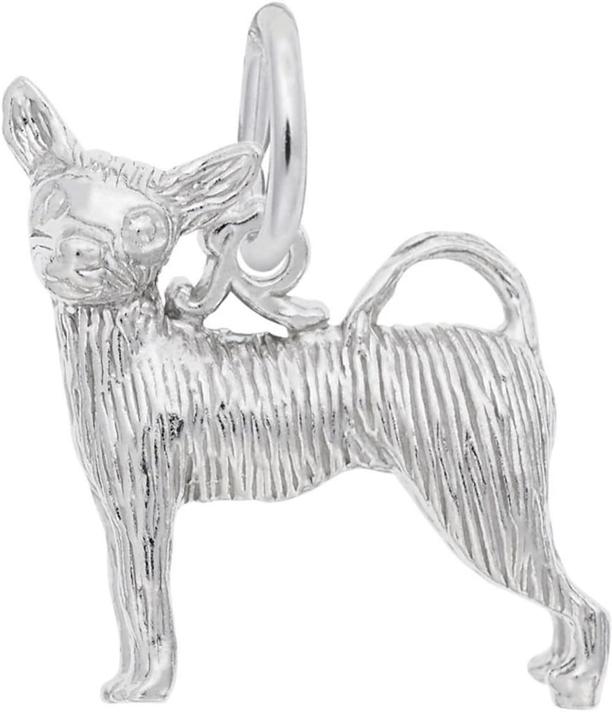 Rembrandt Chihuahua Charm