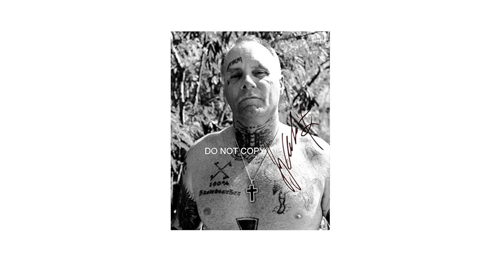 jay adams サインデッキ dogtown ドッグタウン j-boys Amazon