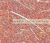 MARIA LUCIA CATTANI (Portuguese Edition)
