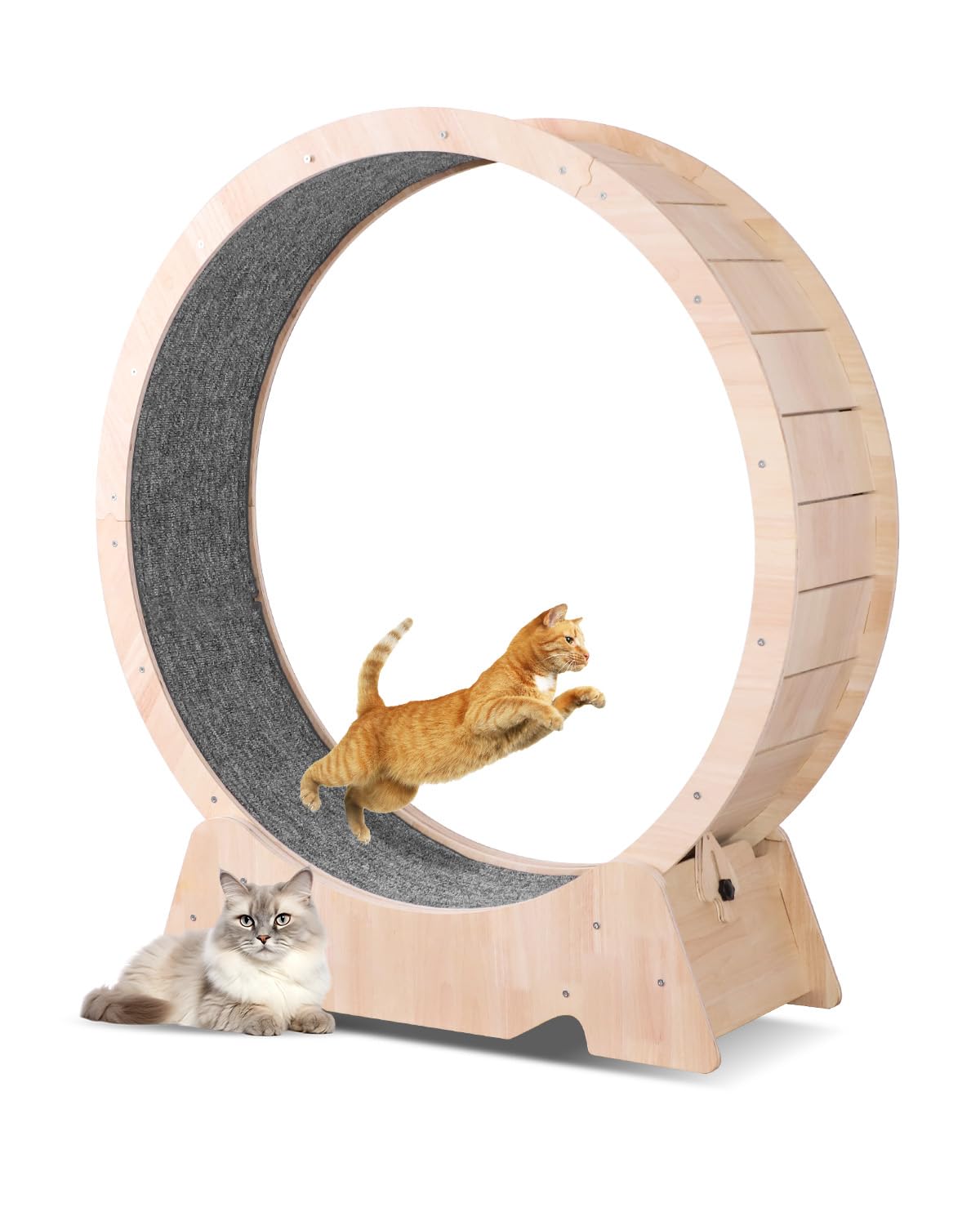 Amazon.co.jp: キャットホイール 猫の車輪 猫 ホイール XL105CM 直径 