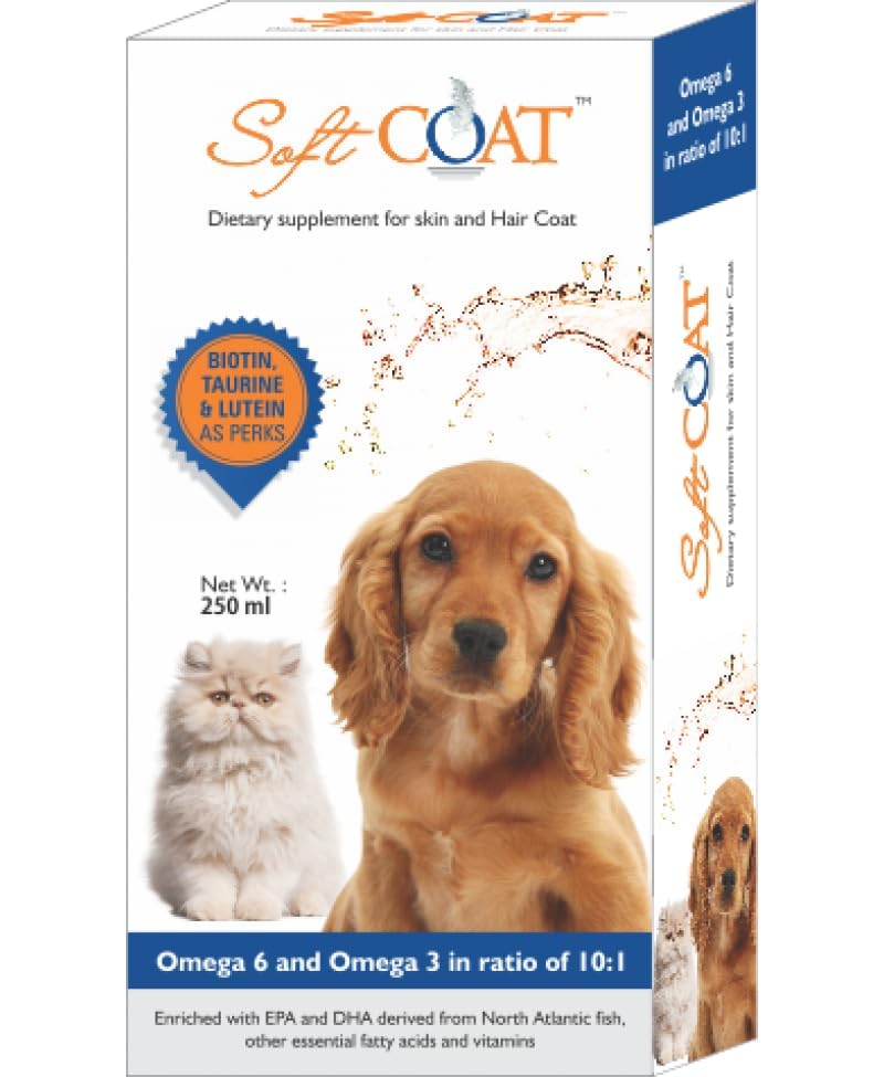 SOFT COAT-picture-15