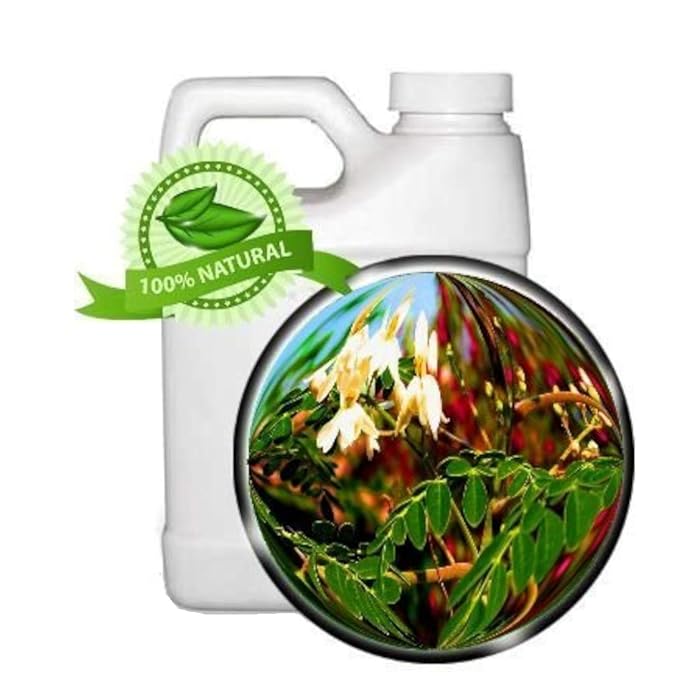Buy Moringa Leaf Oil Extract Moringa Oleifera 64oz Super