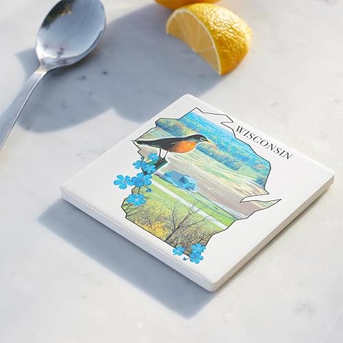 Miniatura 3 de Posavasos del estado de Wisconsin, decoración Joyride para el hogar, portavasos de cerámica individual, portavasos cuadrado individual de 4