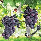 [Protección vegetal confiable] Nuestras redes a prueba de pájaros se utilizan principalmente para cubrir uvas, fresas y uvas cultivadas en el jardín, higos, arándanos, cerezas, flores, verduras y otras frutas y verduras. Cada pequeña red se puede cubrir con un árbol frutal. La red grande se puede colocar en un área grande, lo que puede prevenir eficazmente la infracción de las aves, pero no daña a las aves.