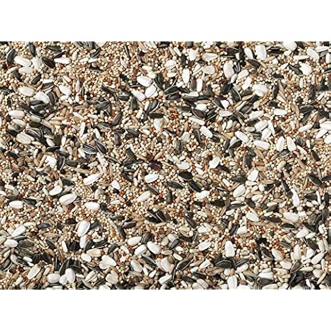 Johnston & Jeff 10kg Cockatiel & Parakeet bird seed food sold by Trusty Pet Supplies Cover