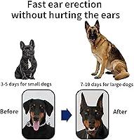 Vista 4 de Herramienta de soporte adhesivo para orejas de perro, corrección fija de oreja de perro, soporte vertical para Doberman, pequeño (0.98 x 1.97)