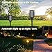Solar Torch Lights, 96 LED Waterproof Flickering Flames Solar Lights Outdoor Solar Spotlights Landscape Decoration Lighting Dusk to Dawn Auto On/Off Security Torch Light for Patio Garden Driveway