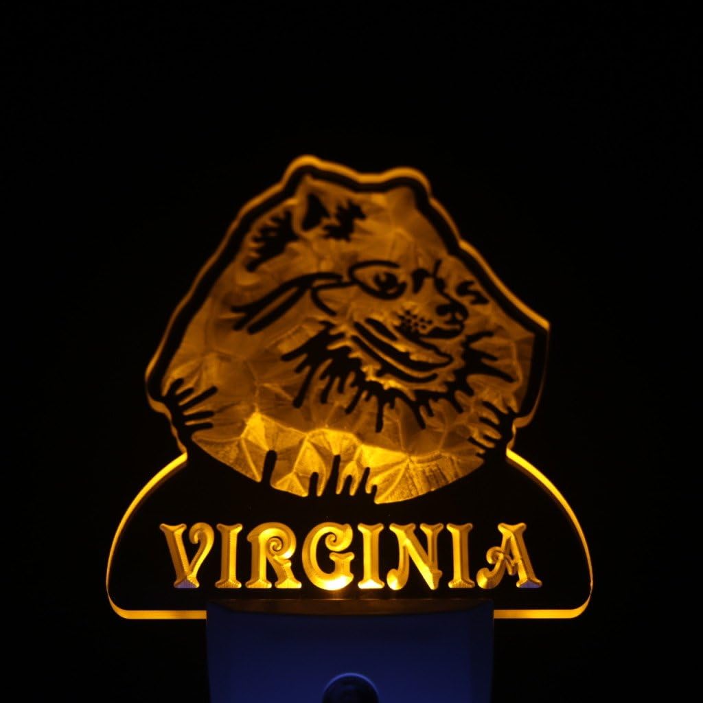 ADVPRO ws1080-tm Pomeranian Dog Personalized Night Light Name Day/Night Sensor LED Sign