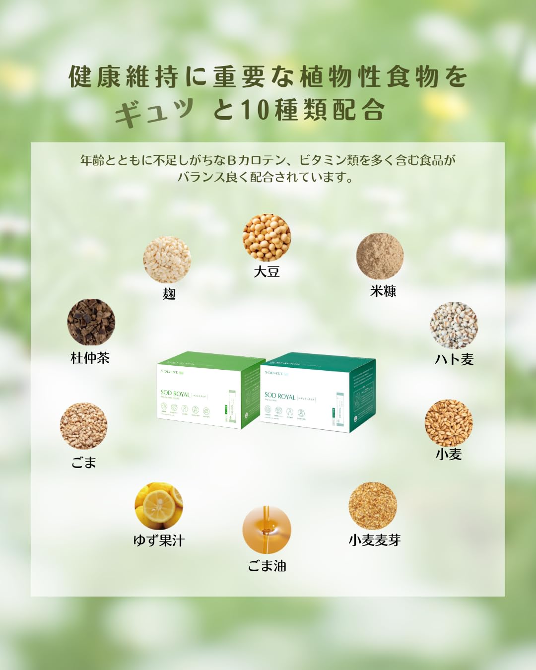Amazon.co.jp: 丹羽SODロイヤル120 マイルドタイプ 3箱セット : 食品