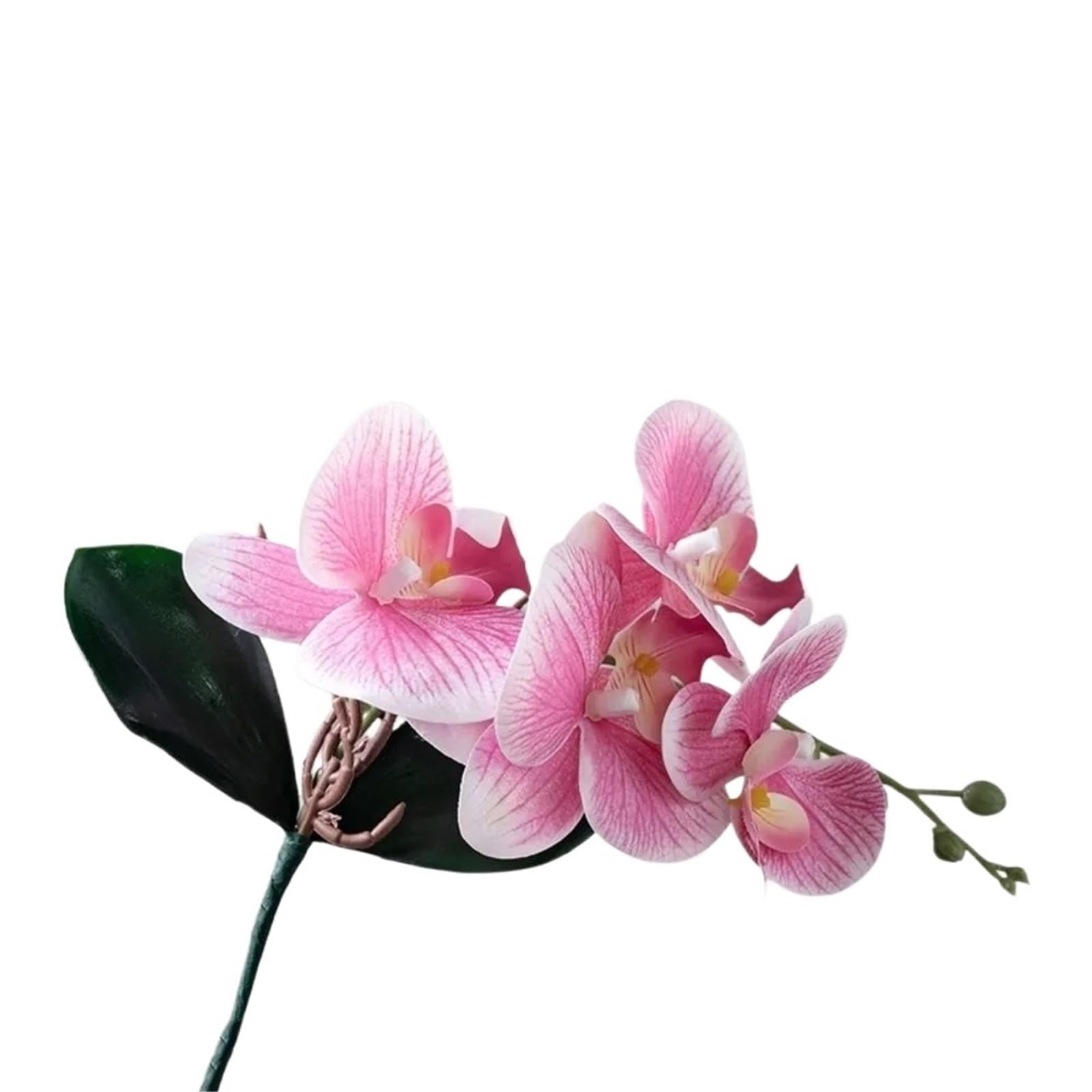 DSFVERVD Artificial Butterfly Orchid Artificial Moth Orchids Realistic