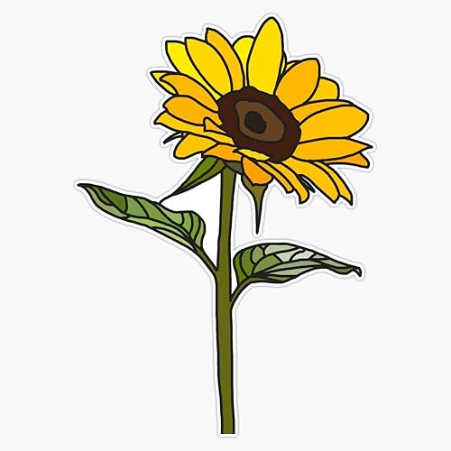 Pegatina de vinilo para parachoques de 5 pulgadas con el logotipo de la caja Corona