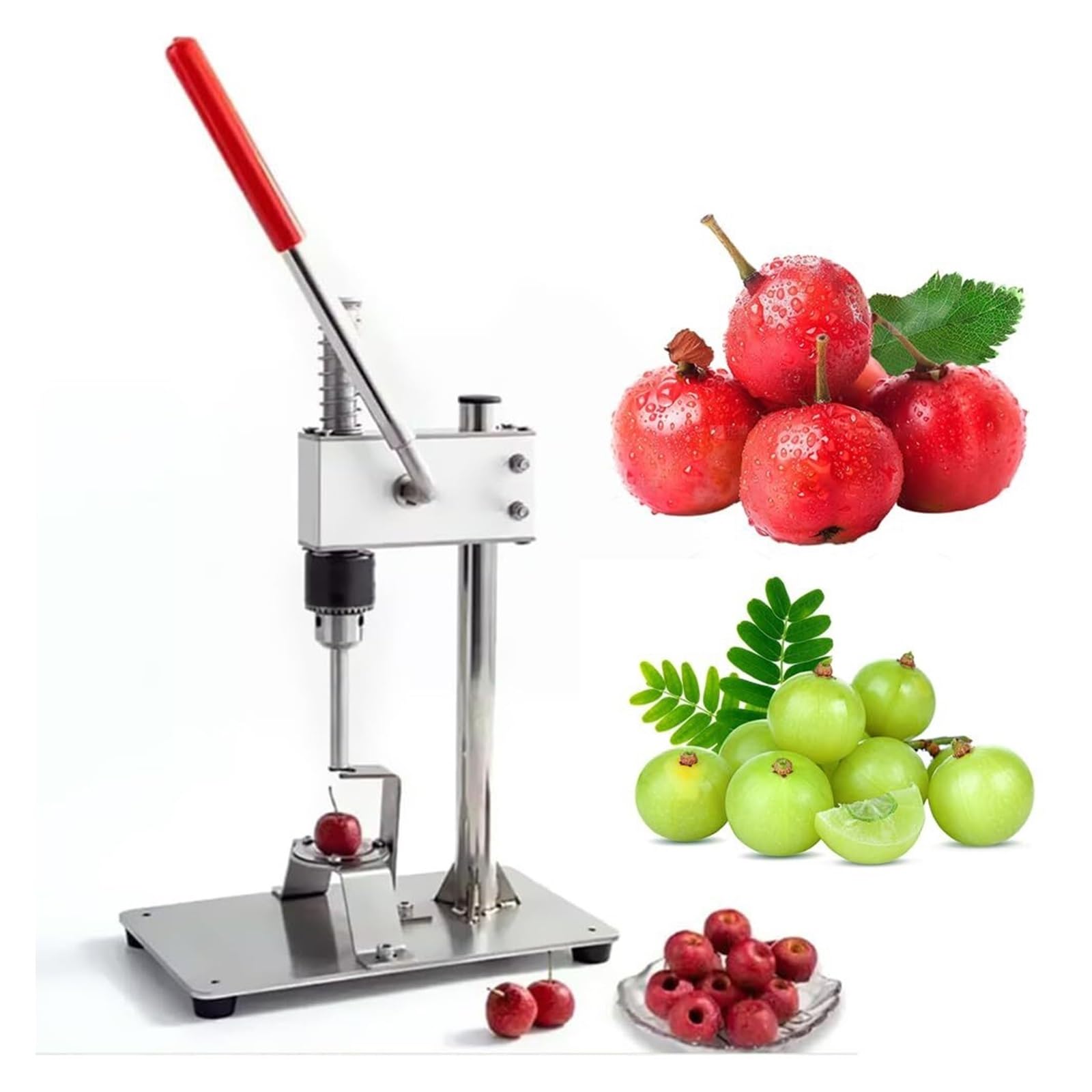Obstentkerner, Kirschentkerner, 304 Edelstahl, mit 10 mm und 11 mm Klingen, tragbarer rutschfester Griff für rote Datteln, Kirschen, Weißdorn, Beeren, kleine Früchte