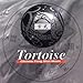 Tortoise: Chinese Feng Shui Music