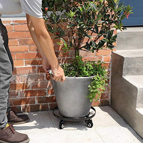 Amagabeli Garden & Home BG191 Plant Caddy With Wheels Heavy Duty 14 Inch 2 Pack Rolling Plant Stand Plant Dolly Iron Wheeled Lockable Casters Round Pot Mover Rollers Indoor Outdoor Planter Trolley Metal thumb #8