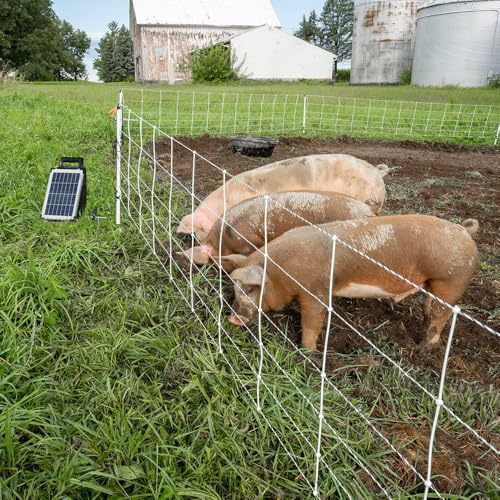 Premier 1 Pig QuikFence® Electric Netting | White/Black Single Spike High Visibility Fence – 30"H x 100'L - Thumbnail 3
