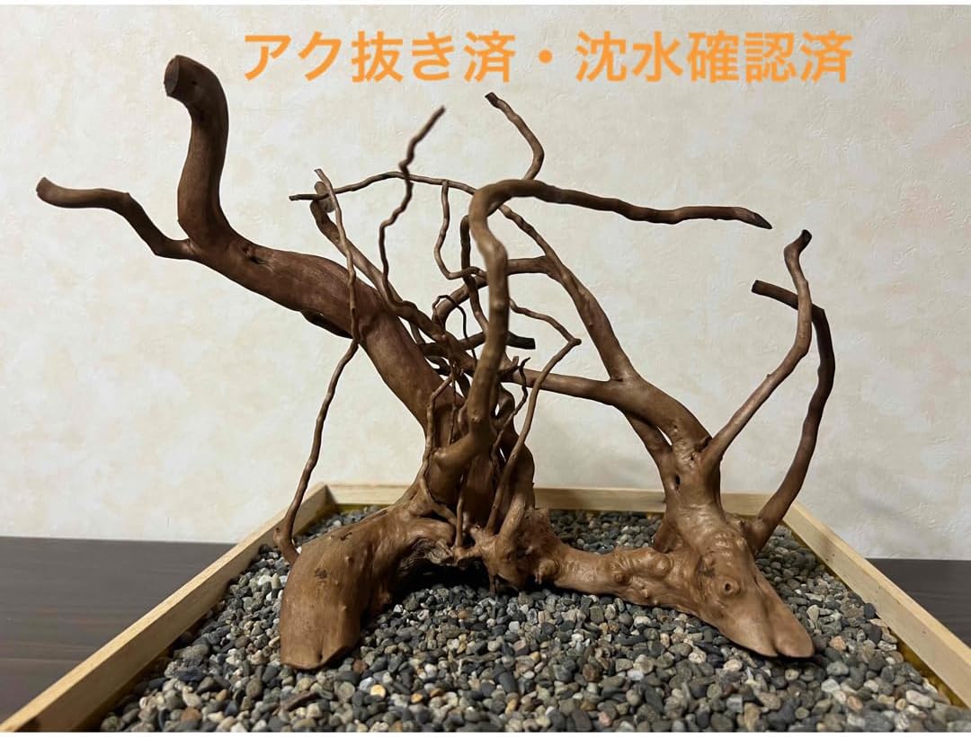 流木ツリー アドベントカレンダー 流木ツリー アドベントカレンダー