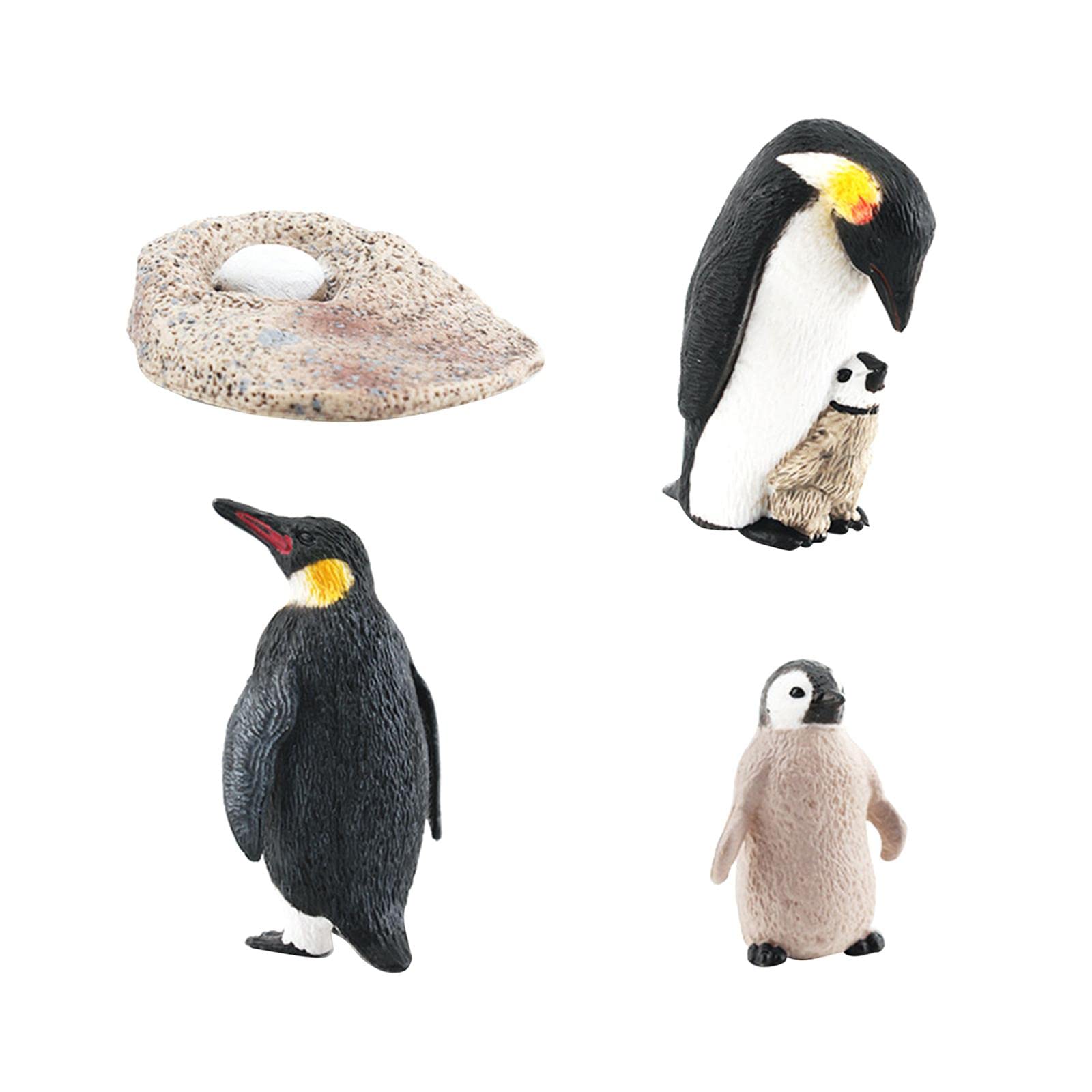 10 Set Pinguin Lebenszyklus Modell Tiere kognitives Spielset für Lehrmaterialien Stil A