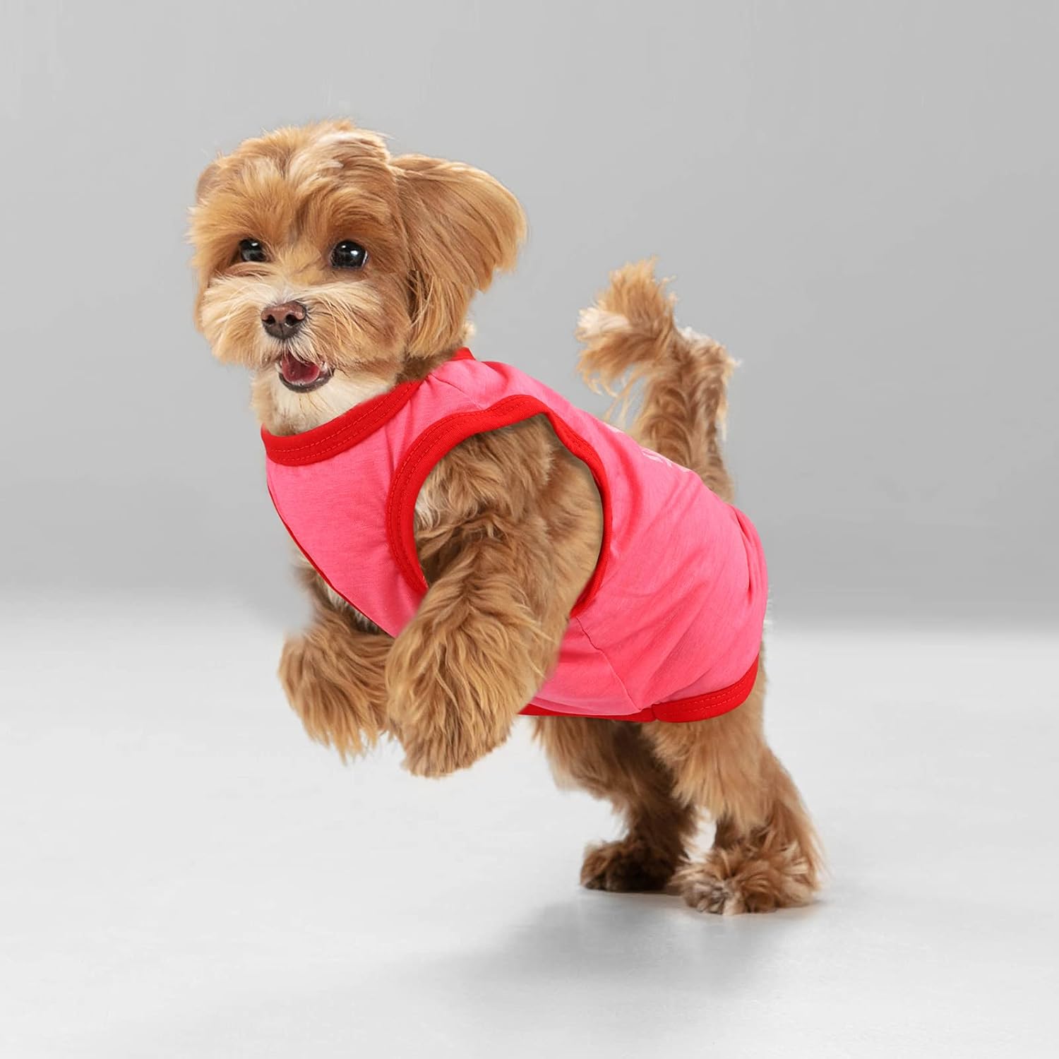 RUODON 3 Printed Puppy Shirts Dog Shirt Pet T-Shirt and Dog Vest Soft Puppy Dog Clothes Pet Outfits Cute Pet Sweatshirt for Small Dogs and Cats (M) : Pet Supplies