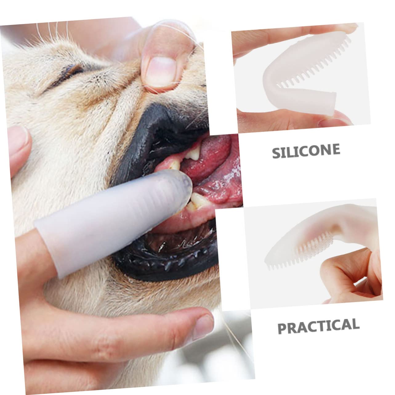 BESPORTBLE 4 Pièces nettoyage brosse à dents brosses à dents pour chiens soins bucco-dentaires pour chiots brossette brosse à dents pour animal de compagnie animaux outil
