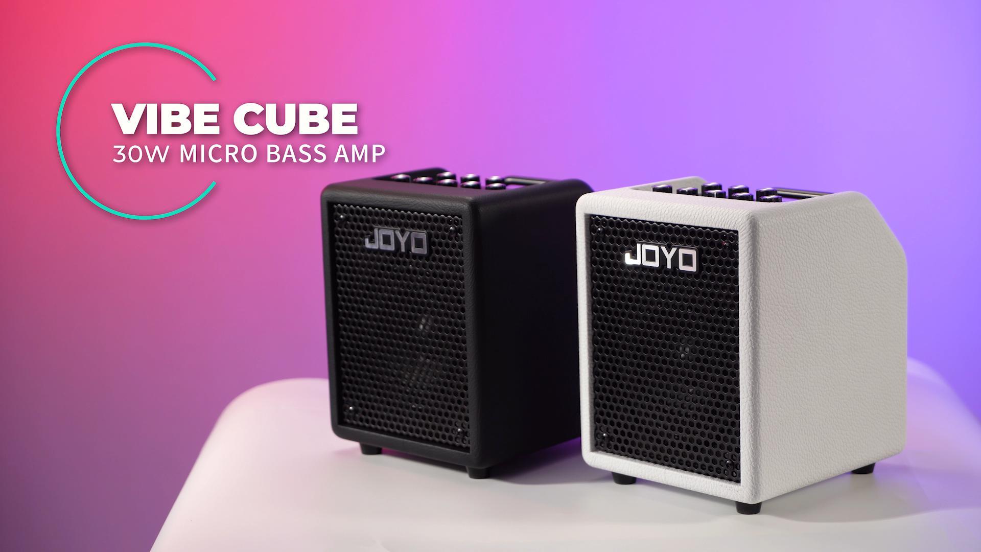 Amazon.com: JOYO 30W Bass Amp Portable Combo Amplifier 4