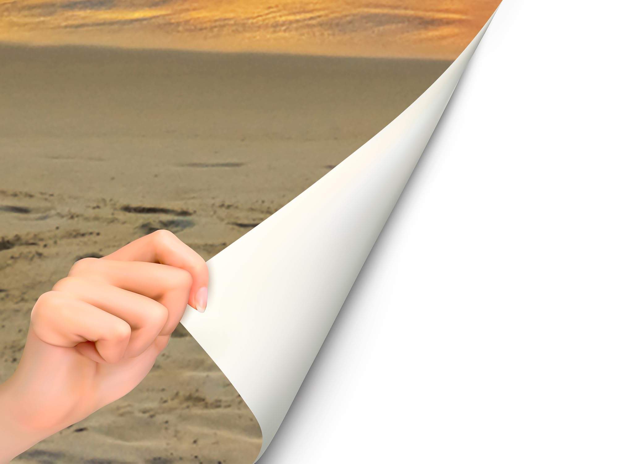 Oedim Vinile Frigorifero Crepuscolo in Spiaggia Tropicale, Vinile Premium, 200 x 70 cm | Adesivo resistente e di facile applicazione | Adesivi per frigorifero economici ed eleganti | Vinile