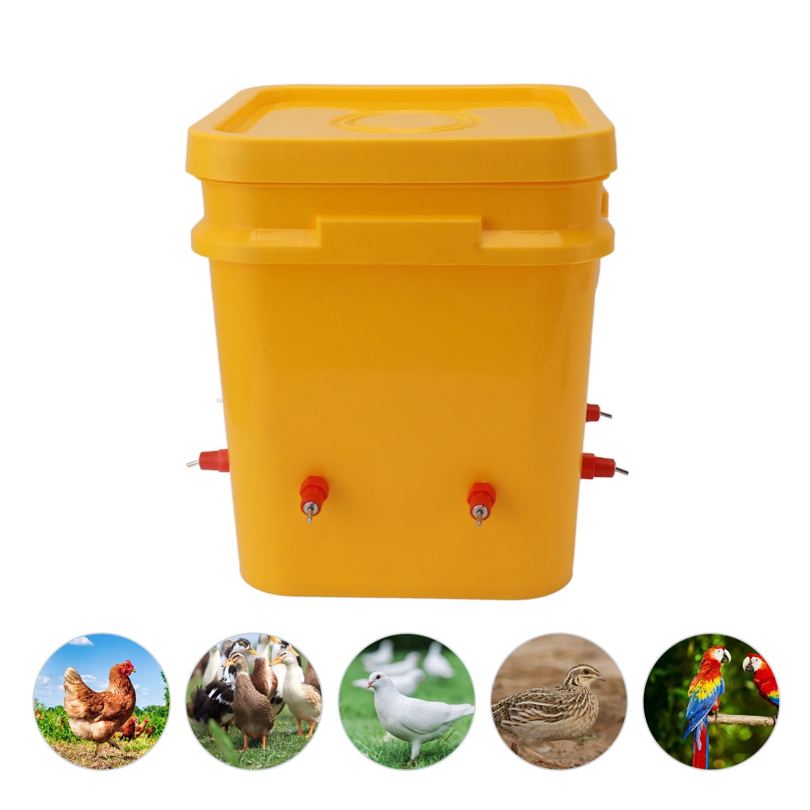 Bebedero Automático para Pollos, Alimentador Grande de Agua para Pollos, Equipo para Beber Aves de Corral, para Ganso, Pato, Pavo, Conejito (-3111230182716)