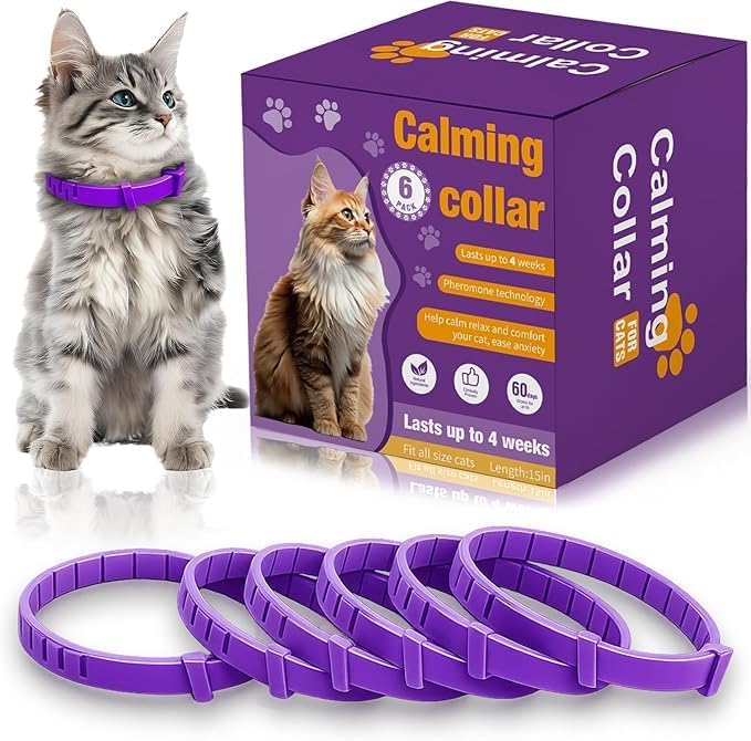 Best Cat Calming Collar: Safe, Effective Options for Anxiety Relief - Feline Calming Collars For Separation Anxiety