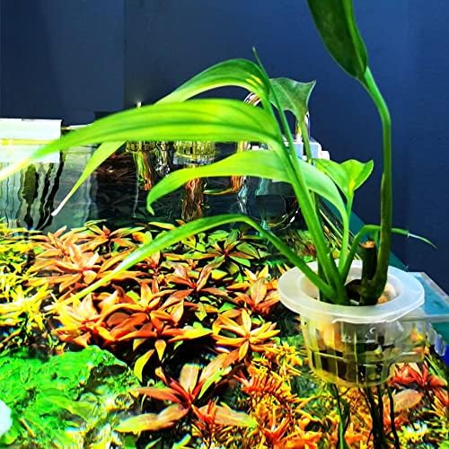 2pcs Hanging Aquarium Plant Holder,Aquarium Planter Cups with Hole for Aquarium Emersed Plants Decorations