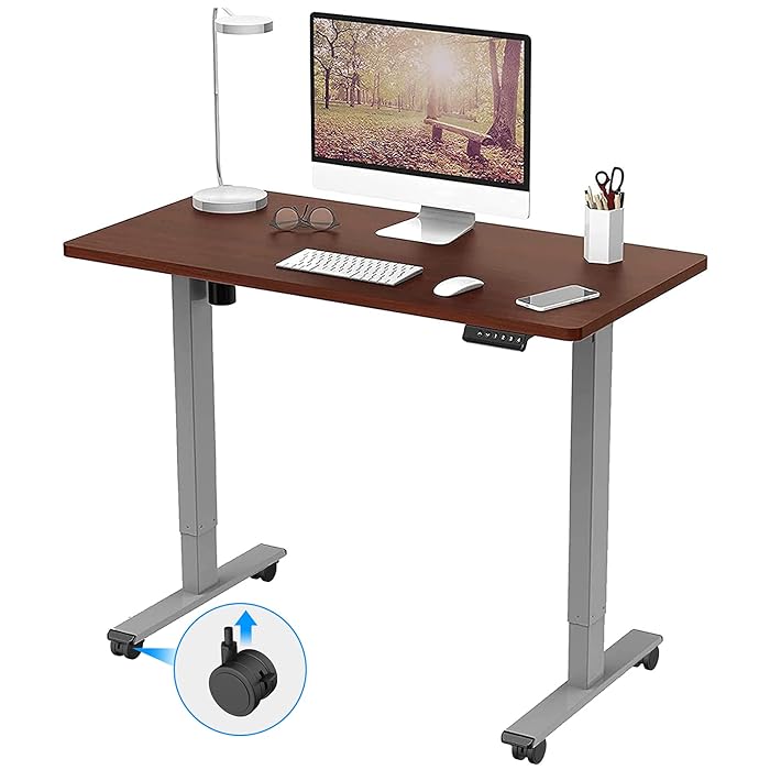 Buy FLEXISPOT Electric Height Adjustable Standing Desk Sit Stand Desk