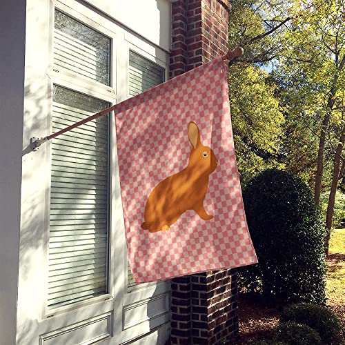 Drapeau Rex Rabbit grand format contre la décoloration
