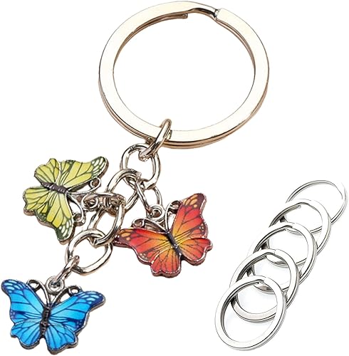 Key Chain for Car Keys, Keychain with 5 Key Ring, Keychain Accessories, MenWomen Birthday Gift Ideas