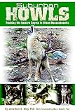 Suburban Howls: Tracking the Eastern Coyote in Urban Massachusetts