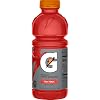 Gatorade Fruit Punch 24x 591 ml