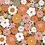 Bohe Daisy