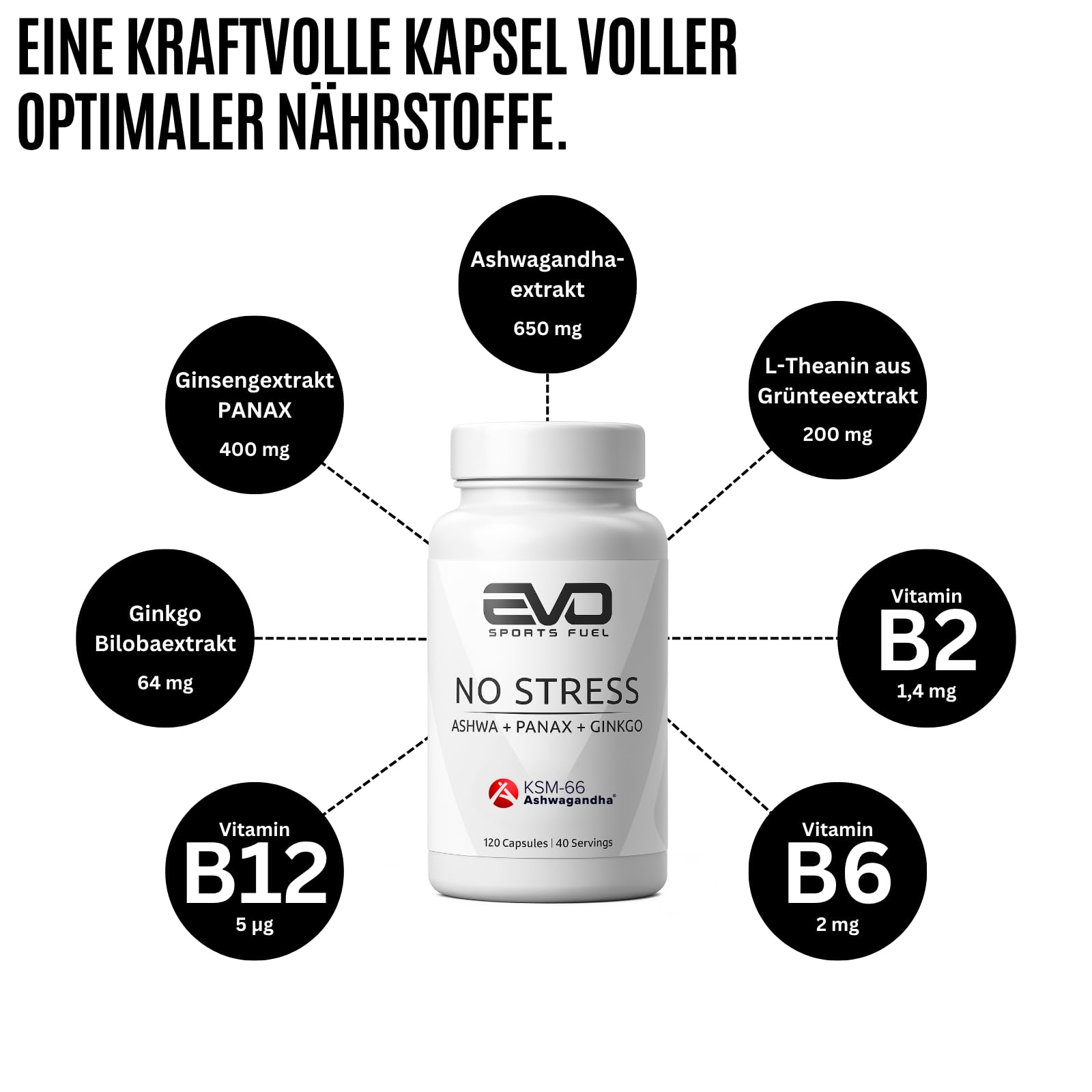 EVO SPORTS FUEL No Stress KSM-66® Ashwagandha Kapseln | 120 Kapseln | original indische Schlafbeere mit Panax, Ginkgo und mehr | 100% Vegan & natürlich | geprüfte Qualität | Made in Germany (1er Pack)